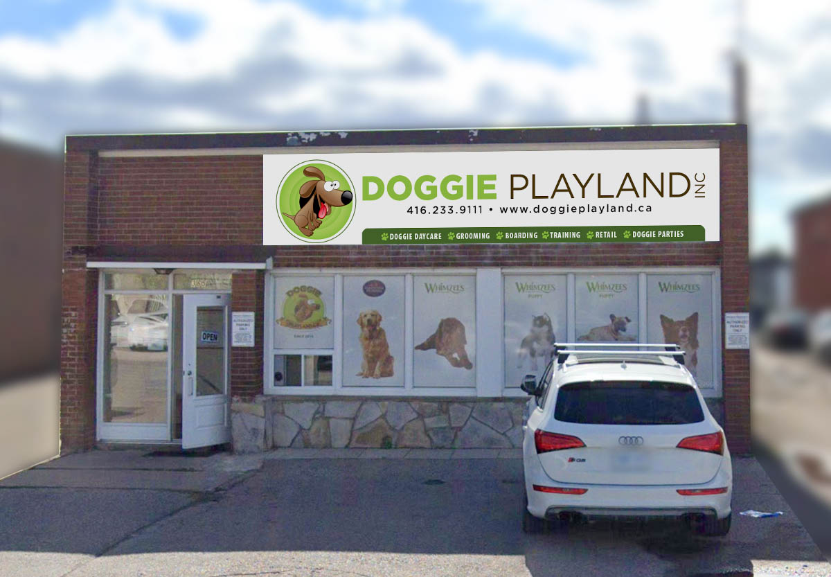 Doggie Playland Etobicoke Ontario